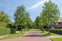 WillemPlojterlaan269766PLEelderwolde-36.jpg