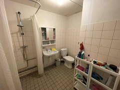 IMG_1195.jpeg