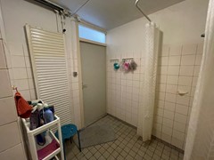 IMG_1196.jpeg