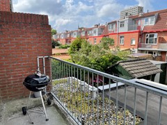 IMG_1605.jpeg