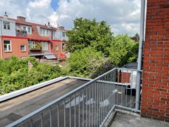 IMG_1606.jpeg