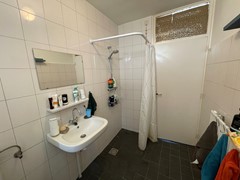IMG_5305.JPG
