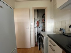 IMG_3463.jpeg