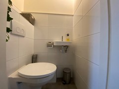 IMG_3466.jpeg