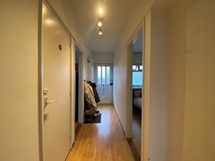 IMG_3484.jpeg