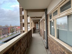 IMG_3509.jpeg