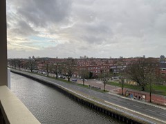 IMG_3511.jpeg