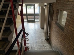 IMG_3457.jpeg