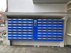 IMG_3512.jpeg