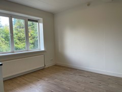 IMG_1804 2.jpeg