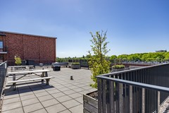 Helperpark-71.jpg
