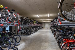 Helperpark-72.jpg