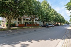 S.O.J. Palmelaan 255_03 straat voor.jpg