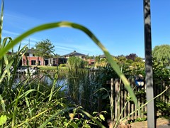 W10 steiger JIMG_2274.JPG