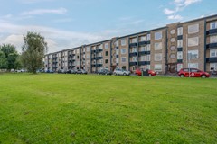 Florakade-400-2 gras.jpg