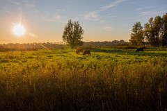 Foto - Sfeerfoto omgeving Meerstad 2.jpg