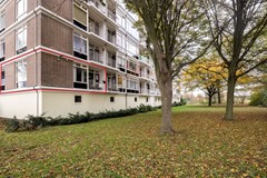 Isabellaland_1552_sGravenhage_25.jpg
