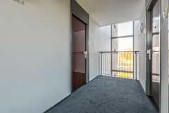 Avenue Carnisse 125-26.jpg