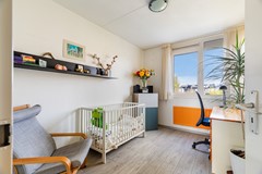 Albert Schweitzererf 6_34.jpg