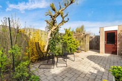 Albert Schweitzererf 6_23.jpg