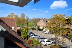 Scholekster 41_42.jpg