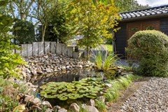 162A0917.jpg