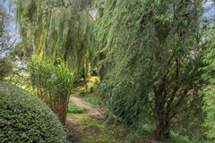162A0923.jpg