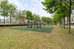 Salomonszegel 35_33.jpg