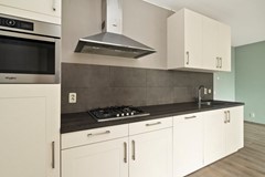 Zilverstein99Oegstgeest-17.jpg