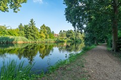 A7404741.jpg