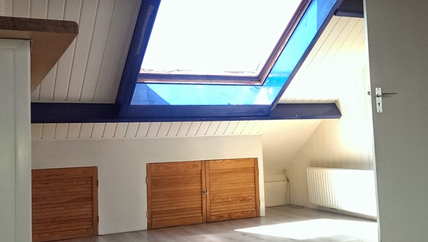Medium property photo - Professor Pelstraat, 2035 CP Haarlem