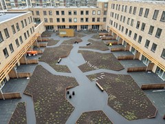 IMG_0841.jpeg