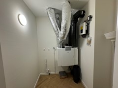 IMG_0882.jpeg