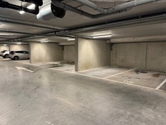 IMG_0905.jpeg