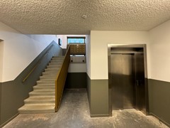 IMG_0904.jpeg