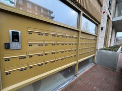 IMG_0908.jpeg