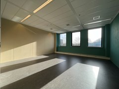 IMG_4384.jpeg