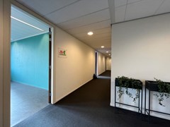 IMG_4388.jpeg