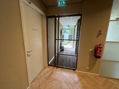 IMG_1541.jpg