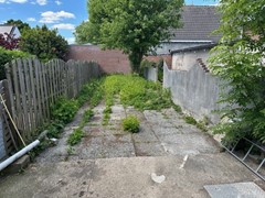 IMG_0897.jpg