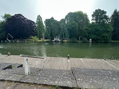 IMG_0923.jpg