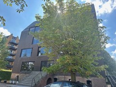 IMG_1609.jpg