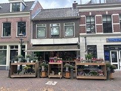 IMG_1973.jpg