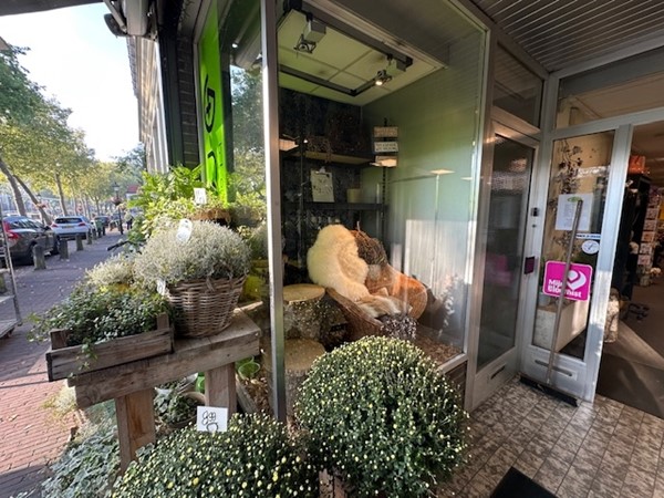 Medium property photo - Dorpsstraat 13, 3433 CH Nieuwegein