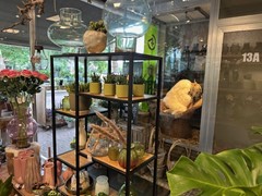 IMG_1981.jpg