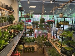 IMG_1980.jpg