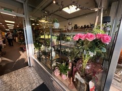 IMG_2187.jpg