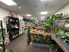 IMG_1984.jpg