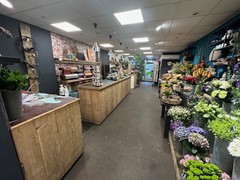 IMG_1988.jpg