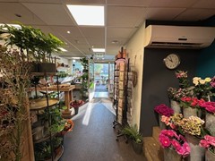 IMG_2196.jpg